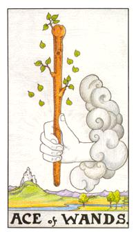 Ace of Wands